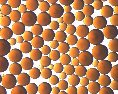 天津爭(zhēng)光凝結(jié)水除油樹(shù)脂,氫型樹(shù)脂催化劑