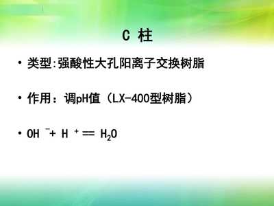 【樹脂在果汁加工中的應(yīng)用】PPT模板