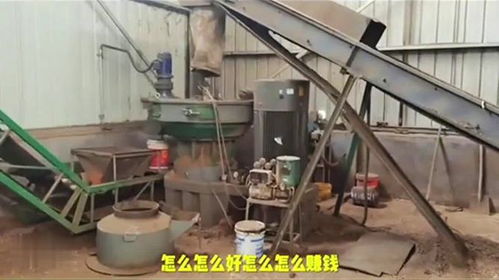 投資200多萬的廢木頭加工生物顆粒廠為什么還沒干兩個月就倒閉了