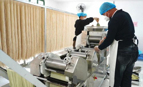 淄川區(qū)大東坪村 不出門能就業(yè) 家門口就賺錢