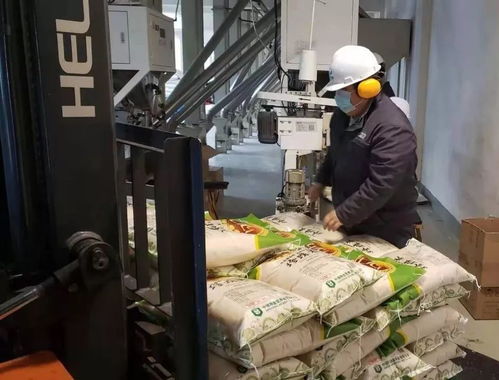 保供穩(wěn)市 中儲(chǔ)糧與全國(guó)人民共戰(zhàn) 疫