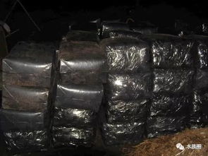 熱帶魚飼養(yǎng)用水與過濾材料